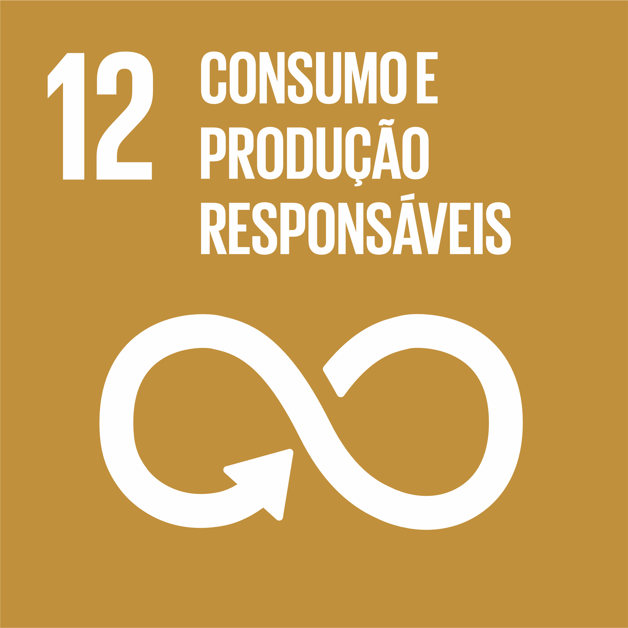 ODS 12