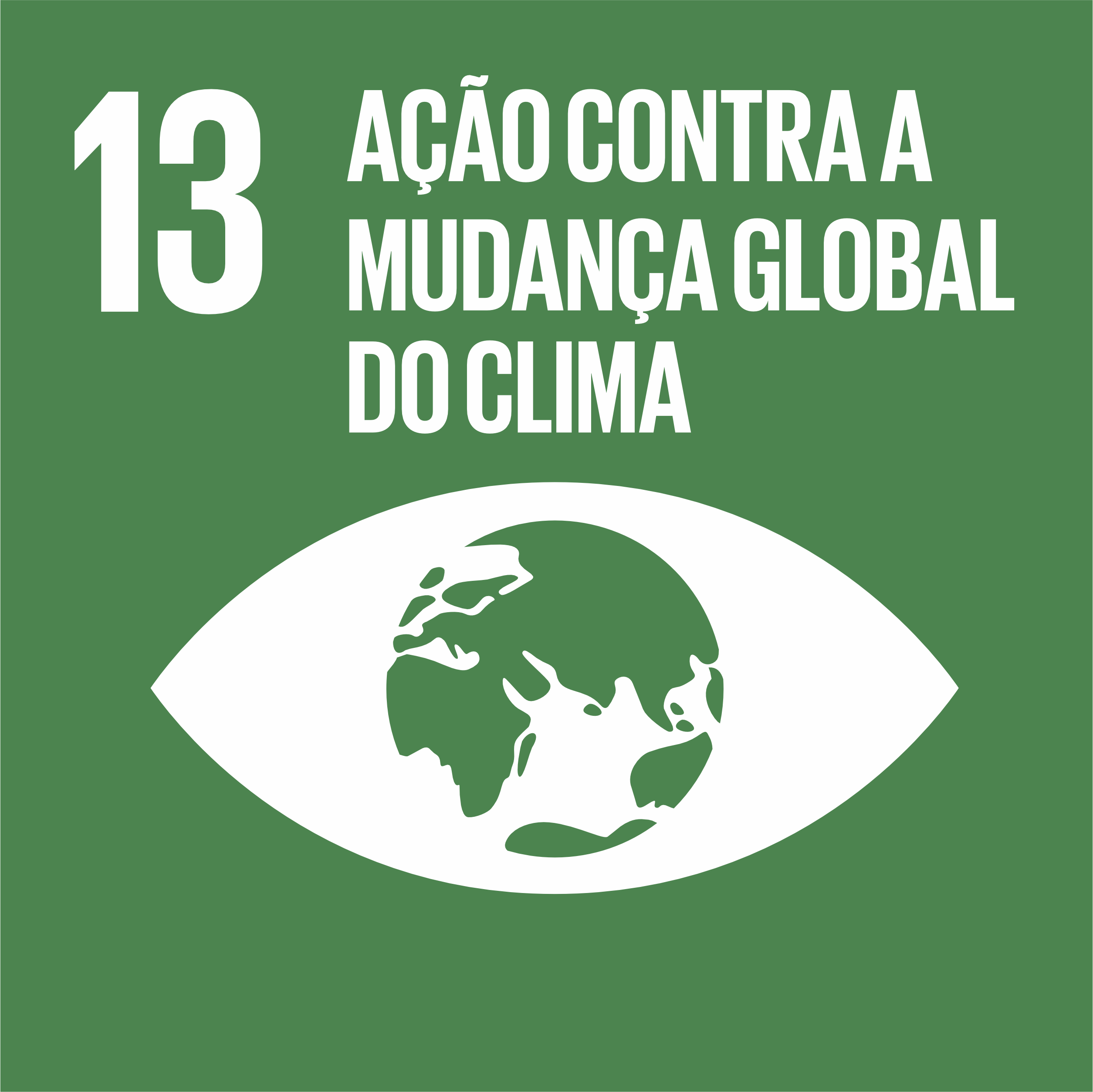 ODS 13